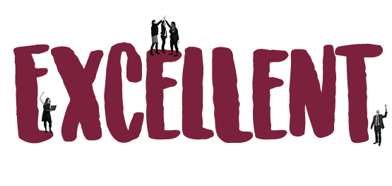 Our Values Excellent 555x263